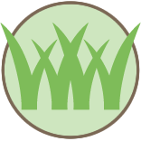 Scheduled Lawn Maintenance Pros