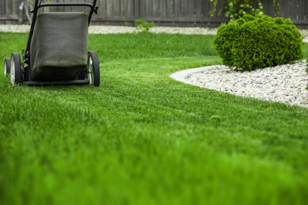 Periodic Lawn Trimming