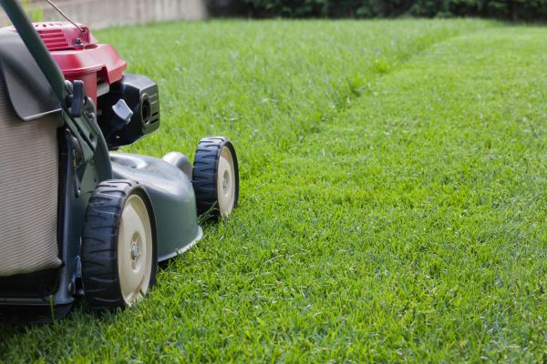 Routine Grass Trimming