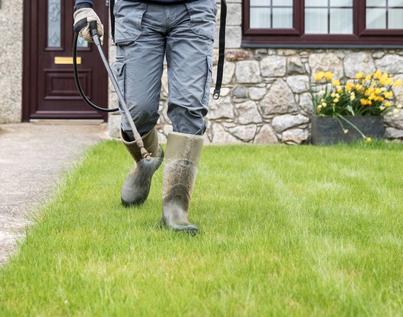 Regional Pricing Variations