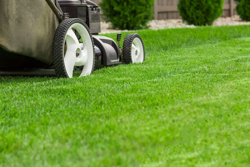 Scheduled Lawn Maintenance