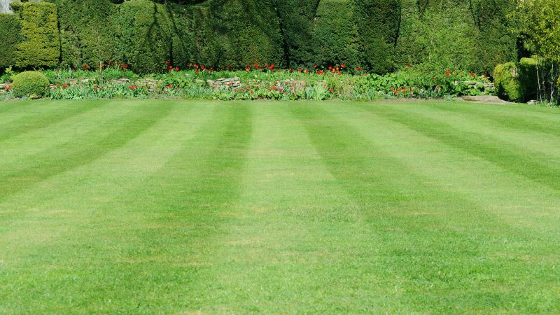 Scheduled Lawn Maintenance