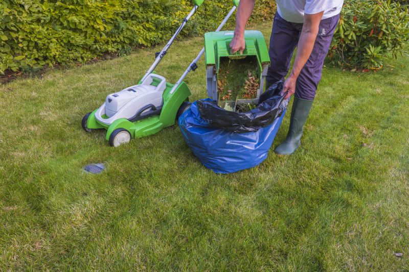 Black Friday Lawn Service Deals