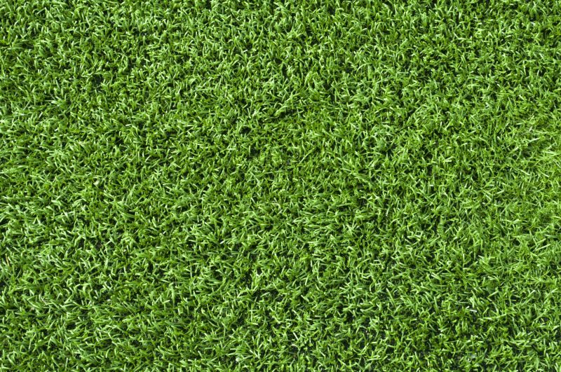 Healthy, Green Turf