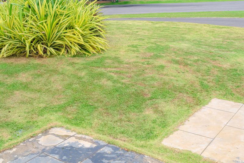 Long-term Lawn Health